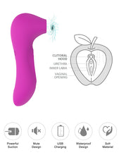 Load image into Gallery viewer, Sucking and Vibrator Toys for Woman (&lt;16GG)
